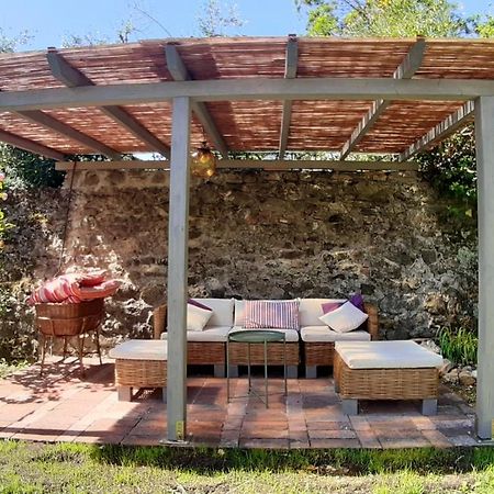 Casa Di Leo With Pool Villa Radicondoli Dış mekan fotoğraf